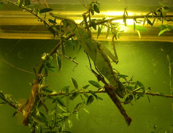 DSCN2155.JPG