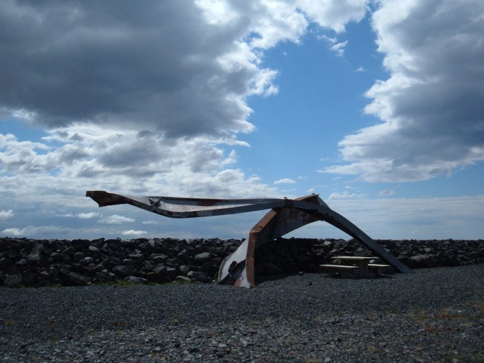 DSCF0299.JPG