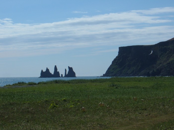 DSCF0303.JPG