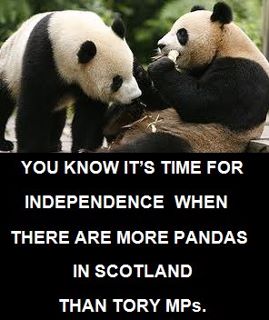Pandas and Tories.jpg