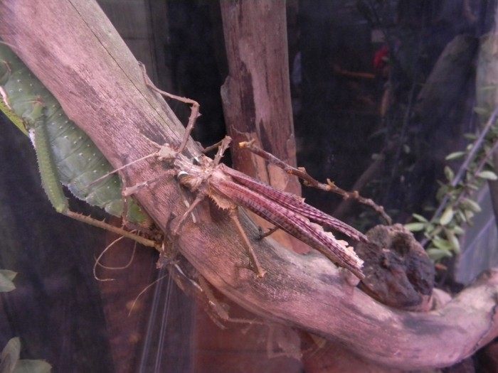 DSCN7384.JPG