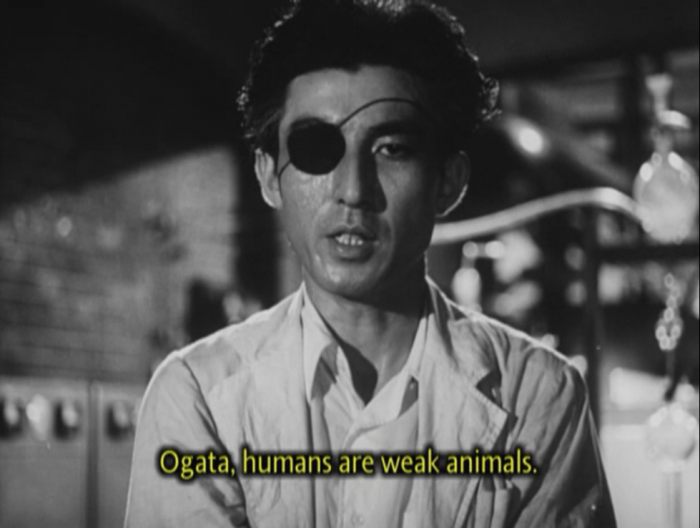 Netflix Watch Instantly_1295845517485.png
