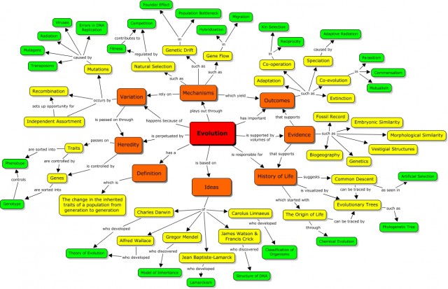 Evolution Wall Chart.jpg