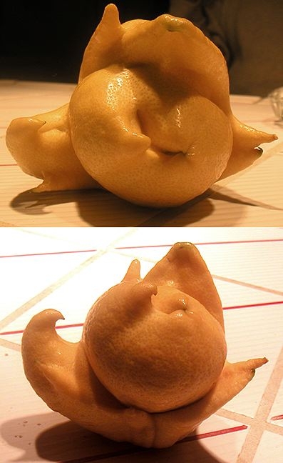 Mutant Lemon From Charles Faris.jpg