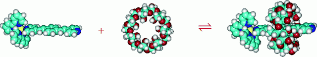Ruthenium Polypyridine Reaction.gif
