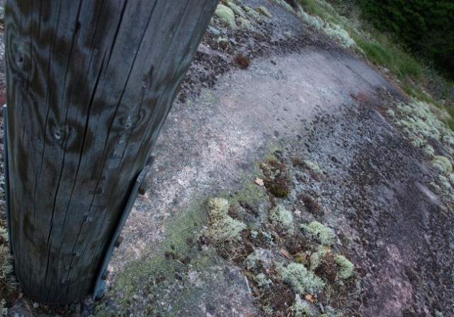 P6261559-1-web.jpg