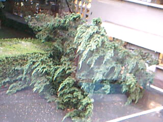 Picture 3.jpg