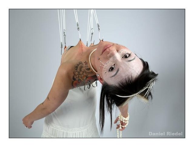 suspended.jpg