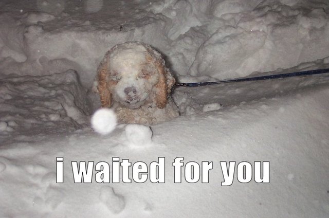i waited.jpg
