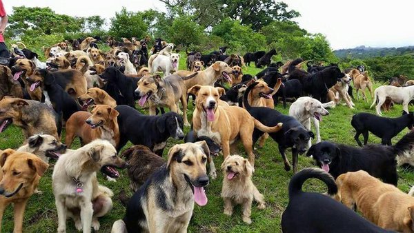 heaven looks like.jpg