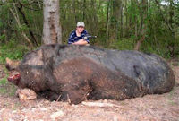 boar.jpg