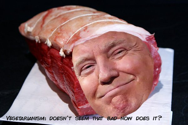mr_meathead.png