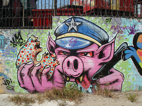 pigcop.jpg