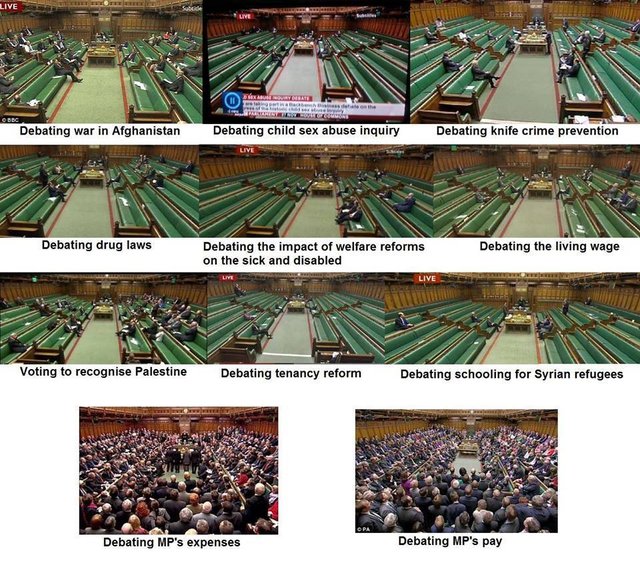 Parliamentary pigs at the trough.jpg