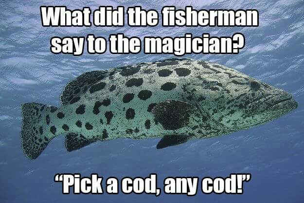 codjoke.jpg