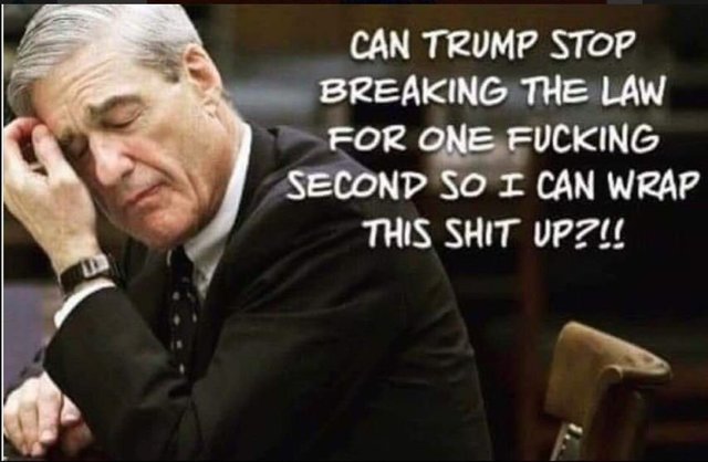 mueller wrap up.jpg