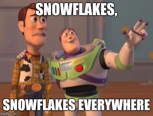 snowflakes everywhere.jpg