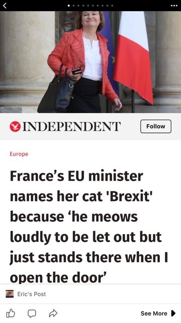 brexit cat.jpg