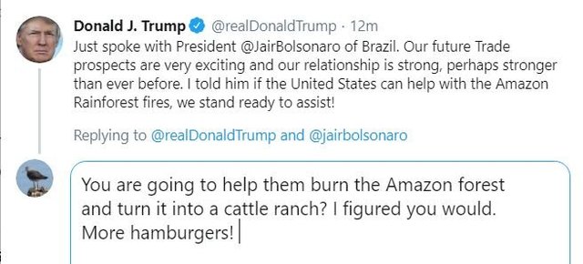 trump amazon.jpg