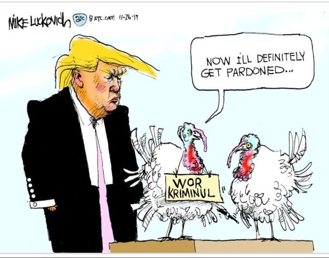 trump pardons criminal.jpg