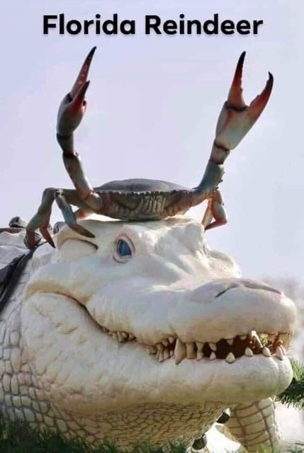Florida Reindeer.jpg