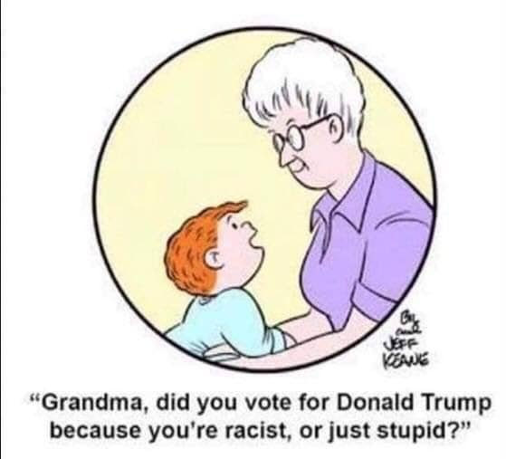 grandma stupid trump.jpg
