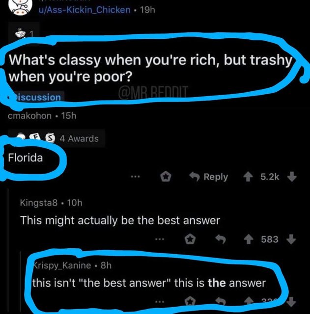 Florida2.jpg