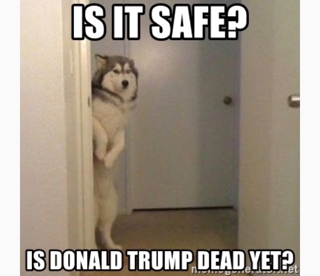8784A510-7B21-4CDD-B6D6-48632BFE8E1E.jpeg
