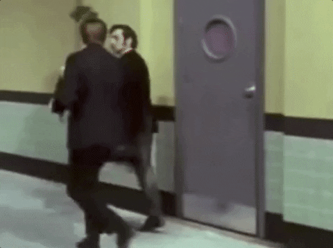 python silly walks.gif
