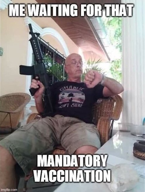 guns and vaccines 1.jpg