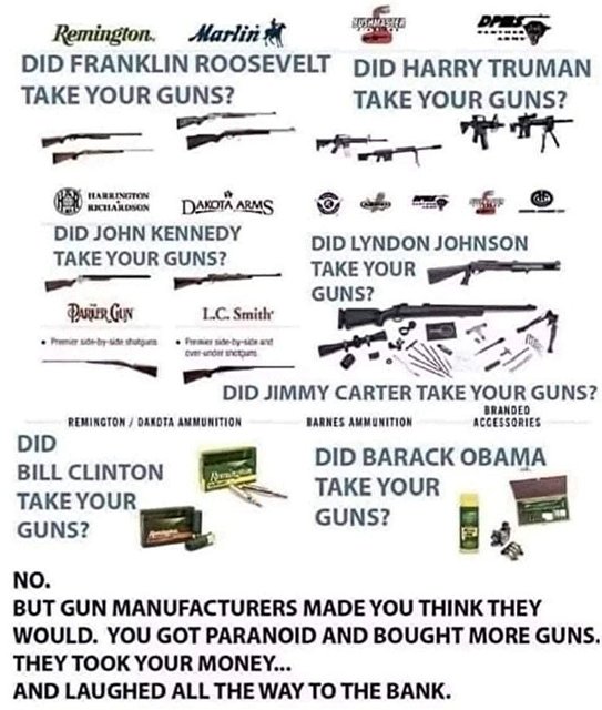 boebert guns.jpg