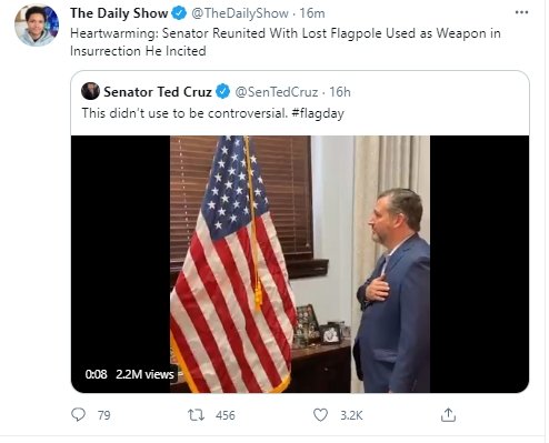 ted cruz flagpole.jpg
