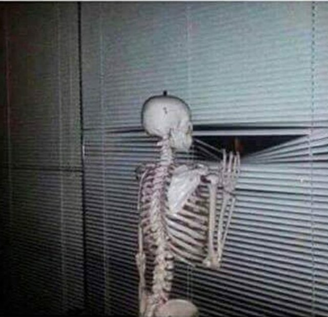 trump going to win.jpg