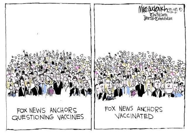 fox vaccinated.jpg