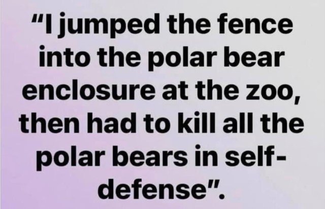 polar bear meme.jpg