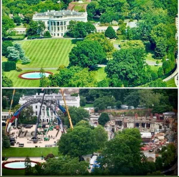 white house.jpg