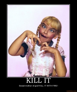 kill-it-kill-it-with-fire-demotivational-poster-1222483143.jpg