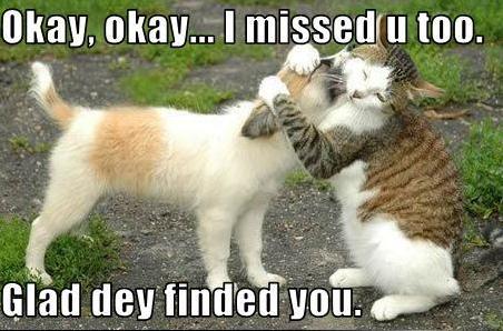 Animal Friends.jpg