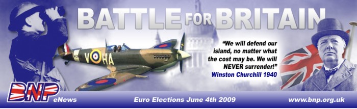 bnp-header.jpg
