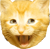 awesomeface cat :awesomecat: