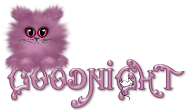 Goodnight%20Kitty.gif